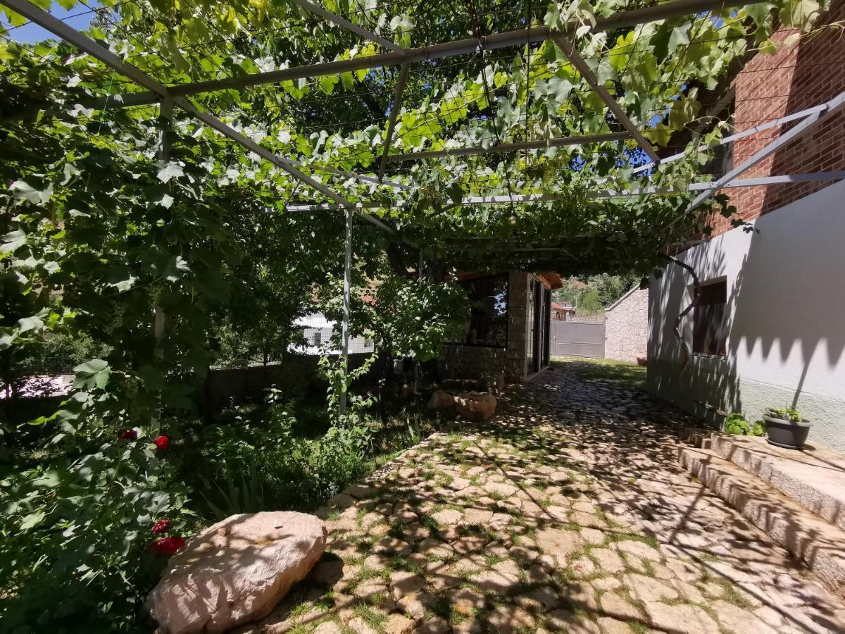 Vila Rira - Rrajce, Shebenik Perrenjas Exteriér fotografie