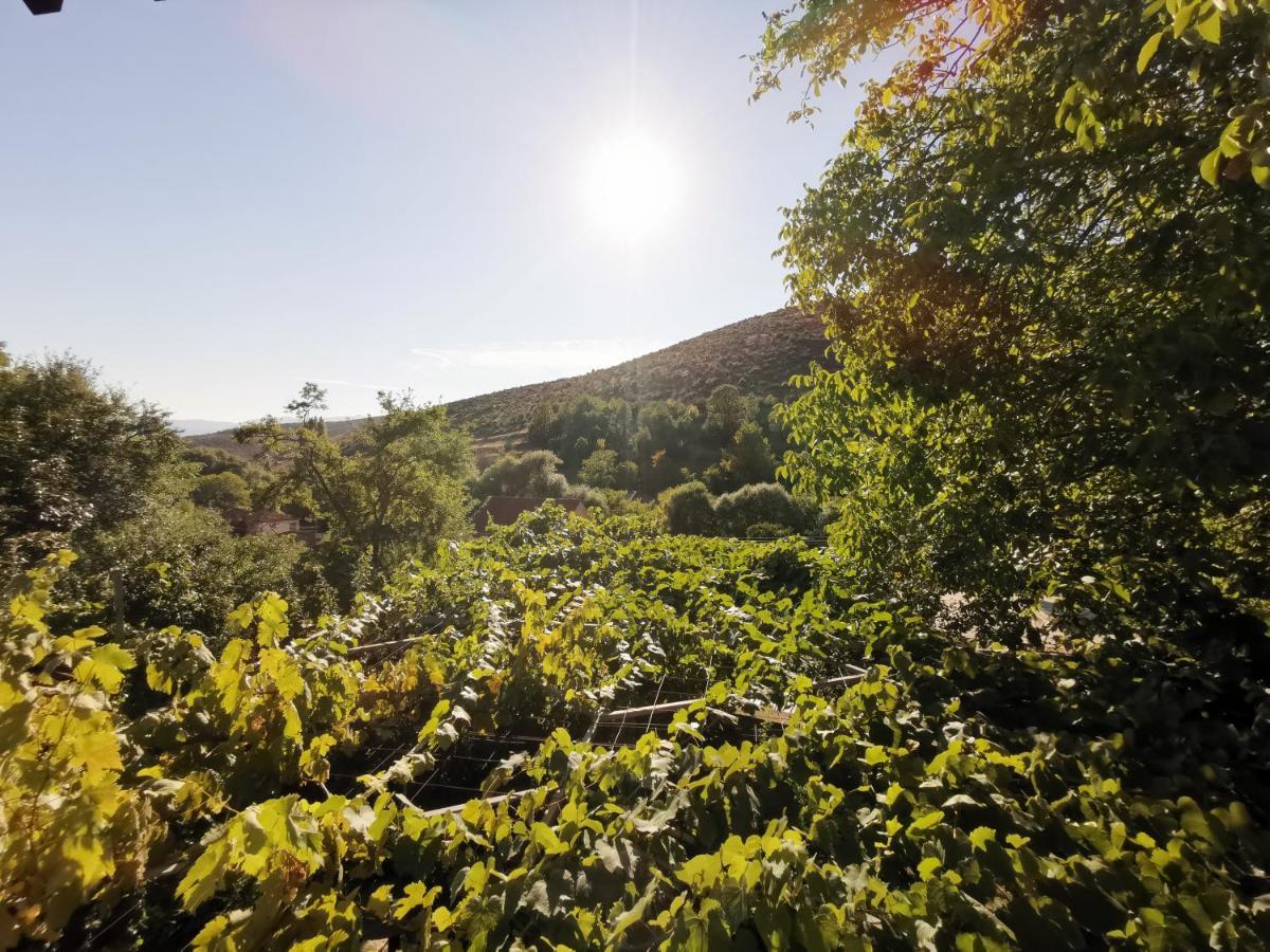 Vila Rira - Rrajce, Shebenik Perrenjas Exteriér fotografie