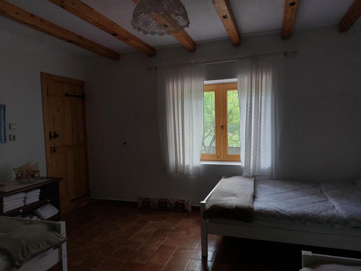 Vila Rira - Rrajce, Shebenik Perrenjas Exteriér fotografie