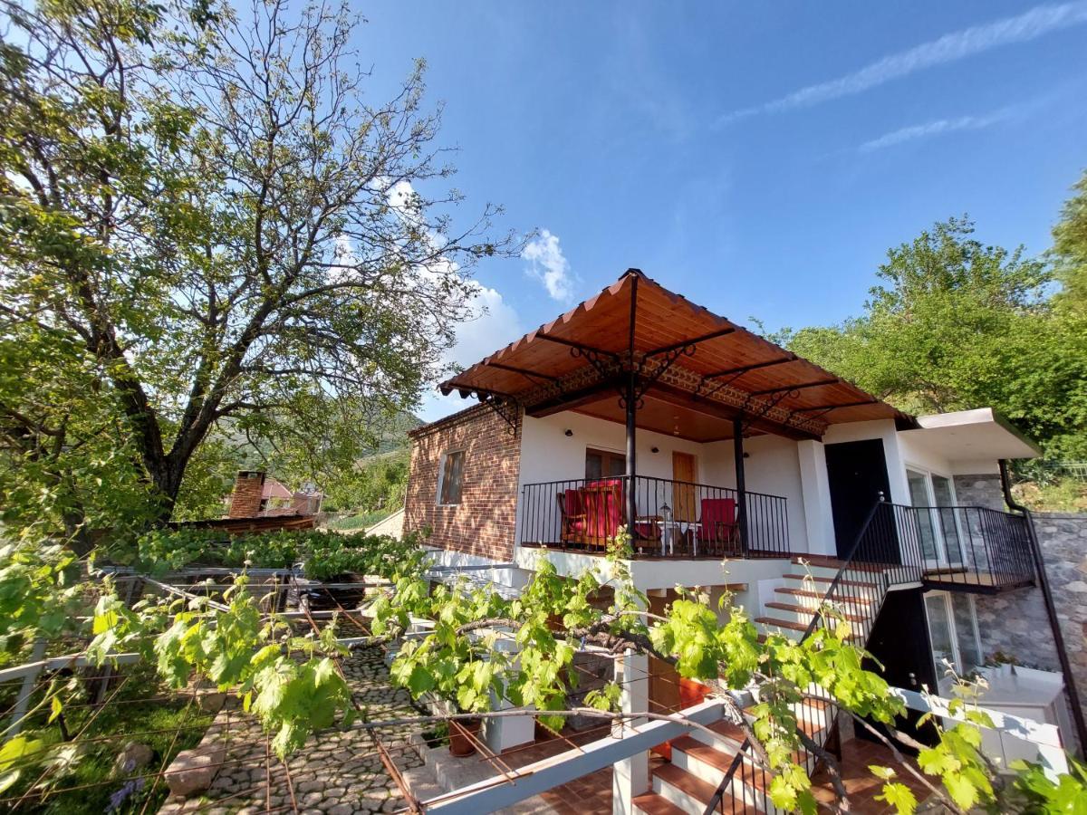 Vila Rira - Rrajce, Shebenik Perrenjas Exteriér fotografie