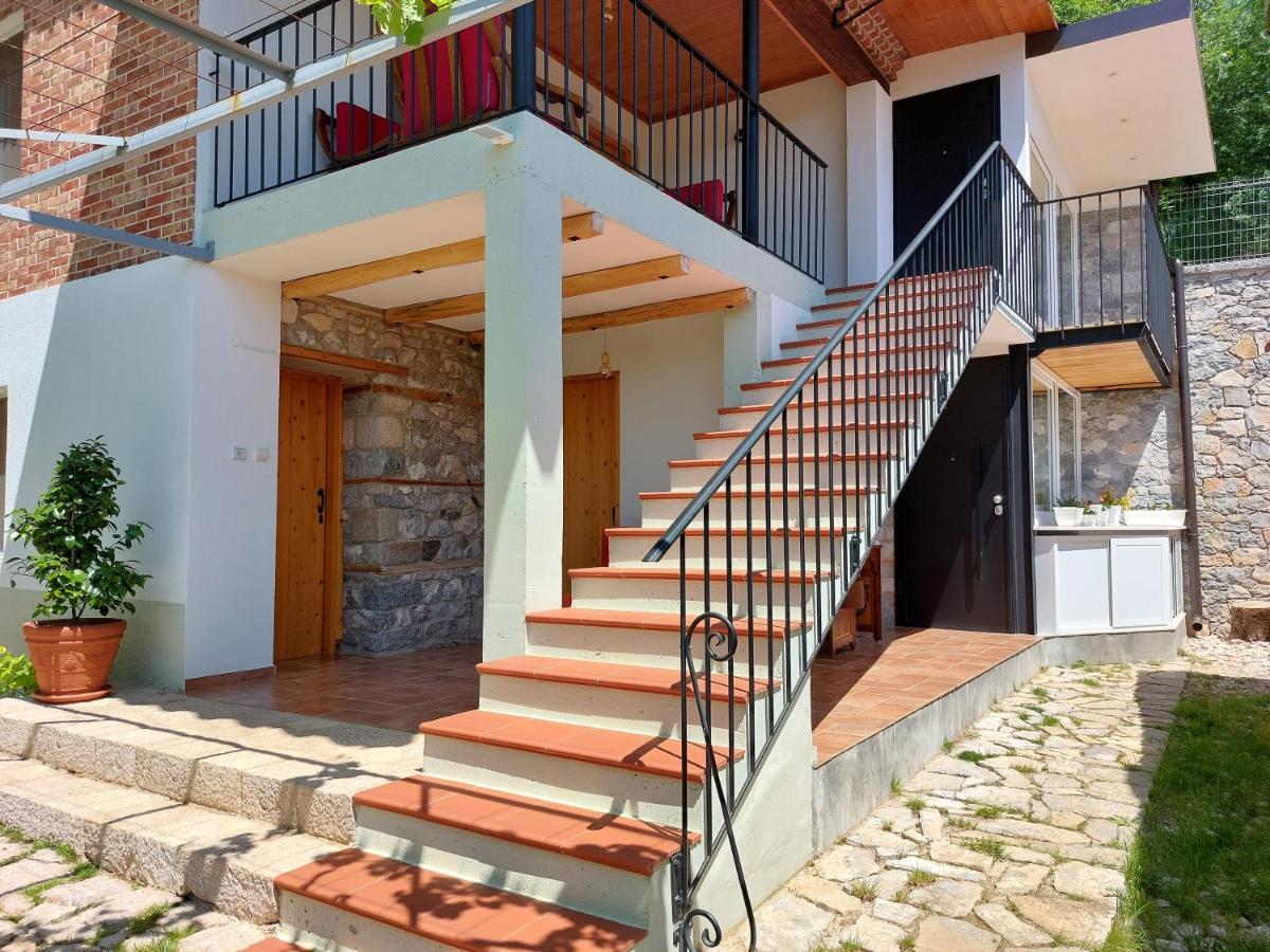 Vila Rira - Rrajce, Shebenik Perrenjas Exteriér fotografie