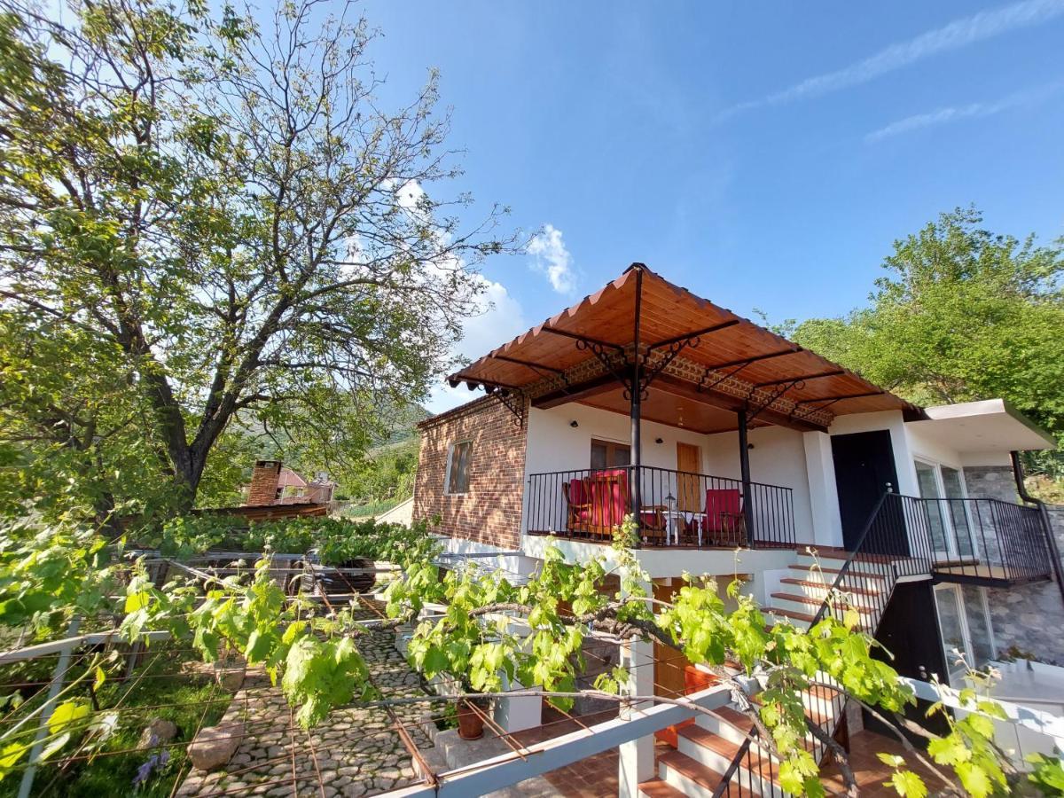 Vila Rira - Rrajce, Shebenik Perrenjas Exteriér fotografie
