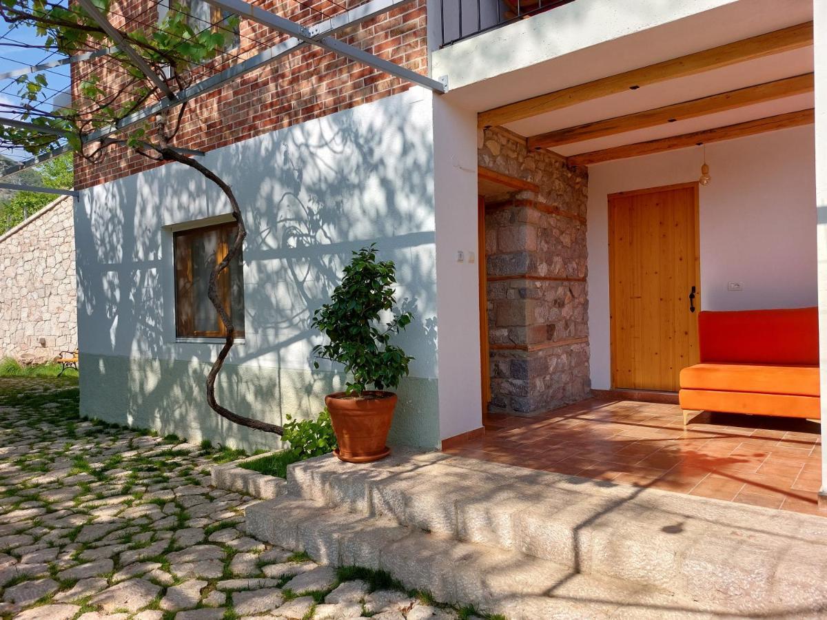Vila Rira - Rrajce, Shebenik Perrenjas Exteriér fotografie